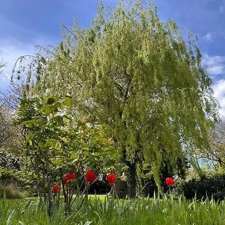 *countryside In Town * Close To Paris* * Chaville